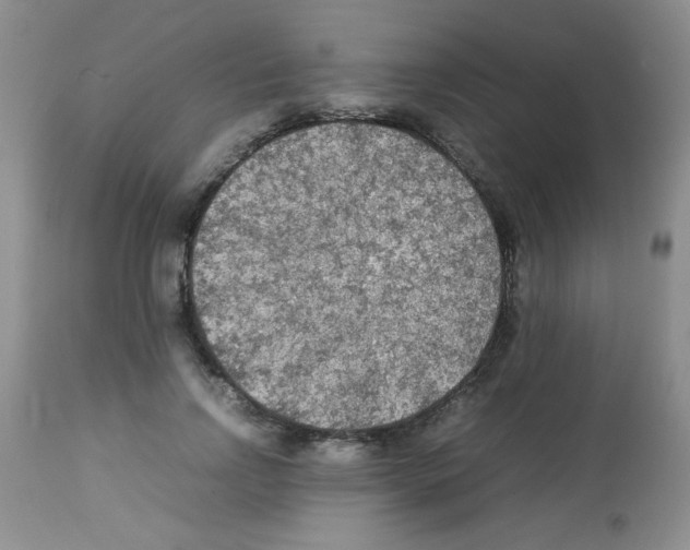 X0000113220742200910221124