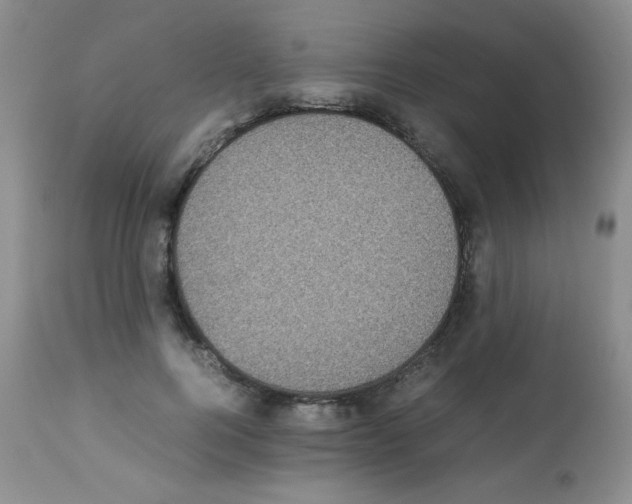 X0000113220744200910221124