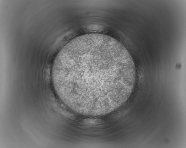 X0000113220745200910221124