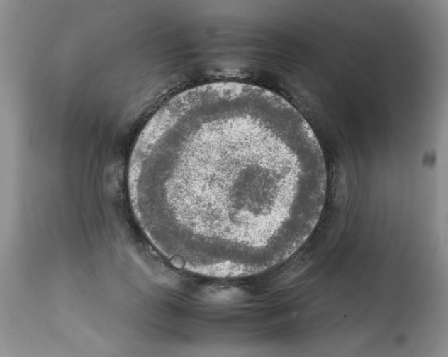X0000113220747200910221124