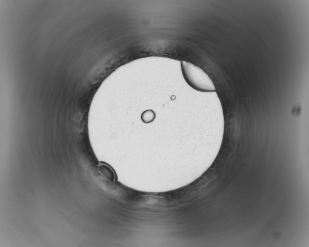 X0000113220750200910221124
