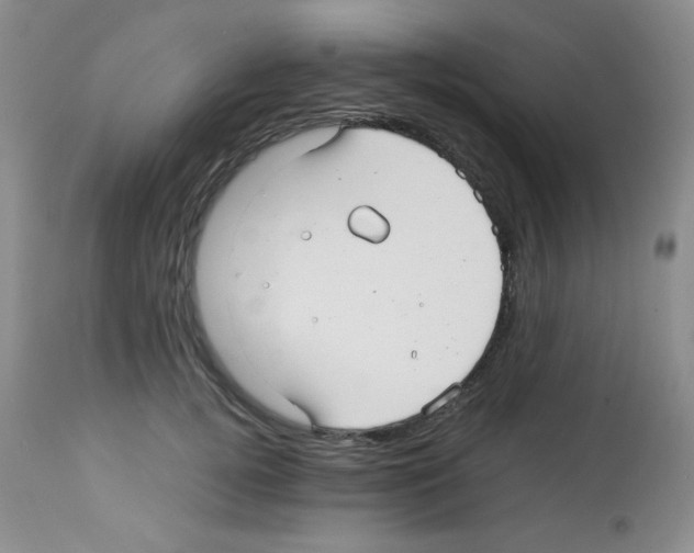 X0000113220752200910221124