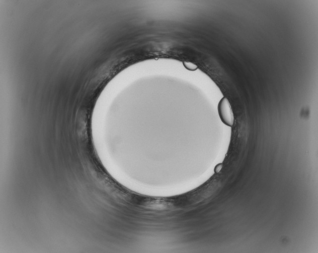 X0000113220754200910221124