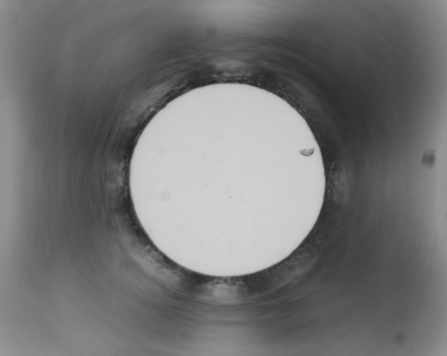 X0000113220756200910221124