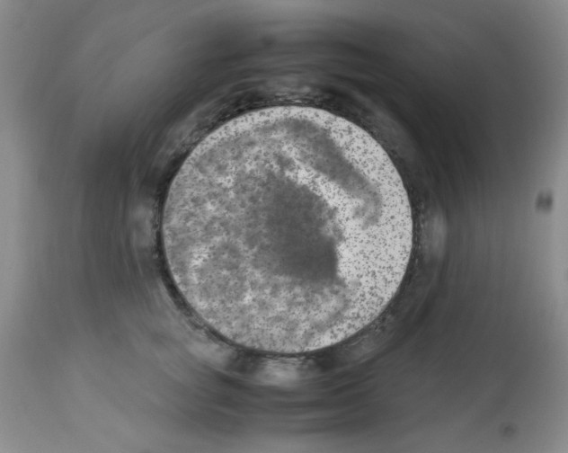 X0000113220757200910221124