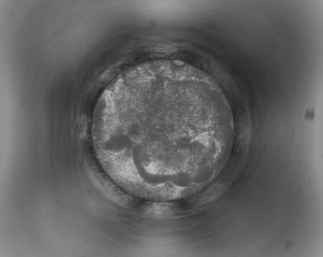 X0000113220758200910221124
