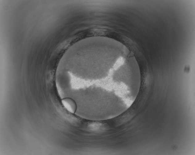 X0000113220759200910221124