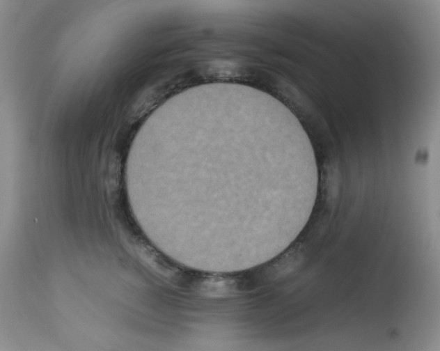 X0000113220760200910221124