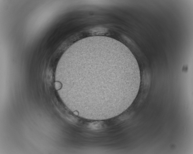X0000113220761200910221124