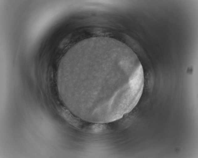X0000113220762200910221124