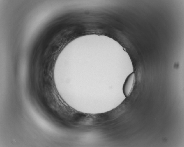 X0000113220764200910221124