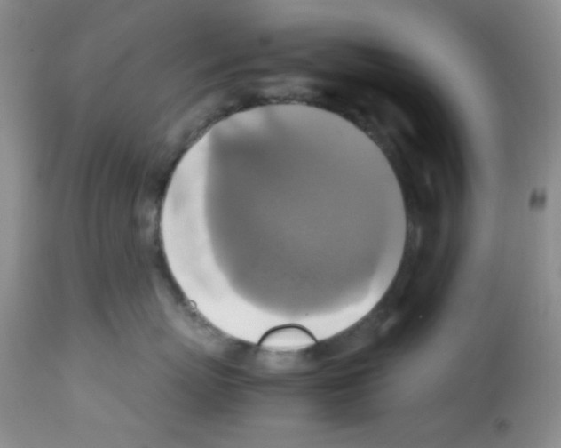X0000113220767200910221124