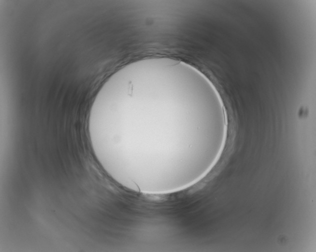 X0000113220768200910221124