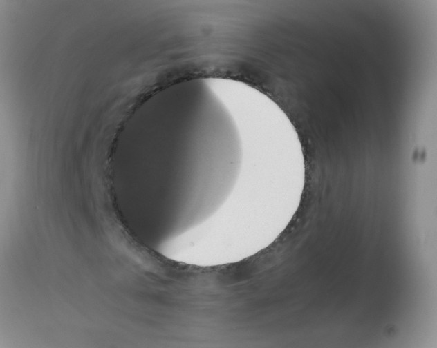 X0000113220769200910221124
