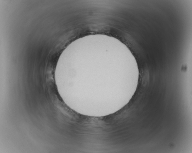 X0000113220770200910221124
