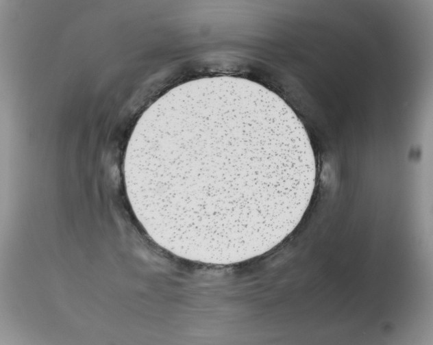 X0000113220771200910221124