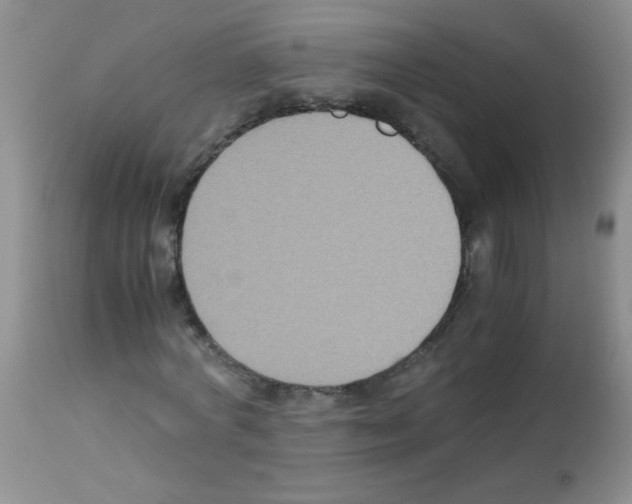 X0000113220772200910221124