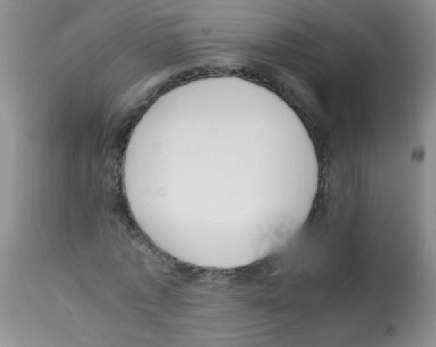 X0000113220773200910221124