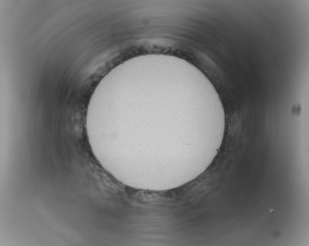 X0000113220774200910221124