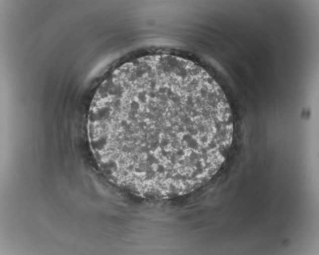 X0000113220775200910221124