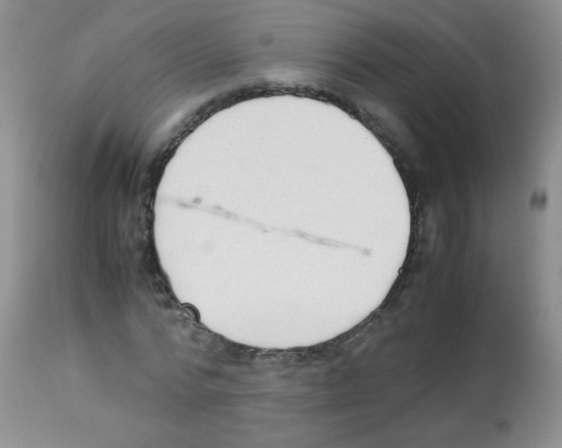 X0000113220776200910221124