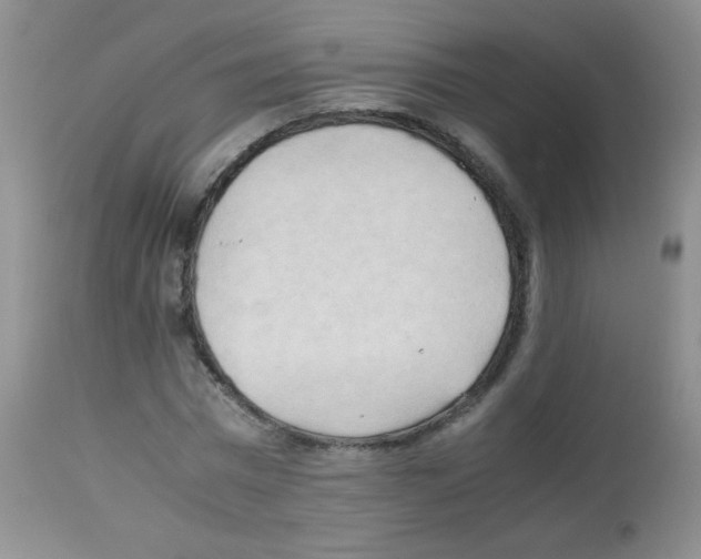 X0000113220777200910221124