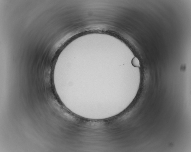 X0000113220778200910221124