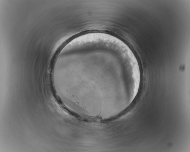 X0000113220779200910221124