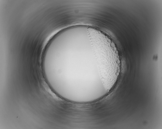 X0000113220780200910221124