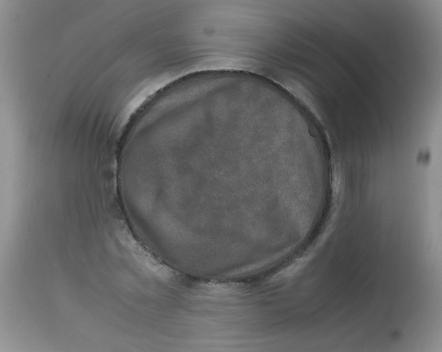 X0000113220781200910221124