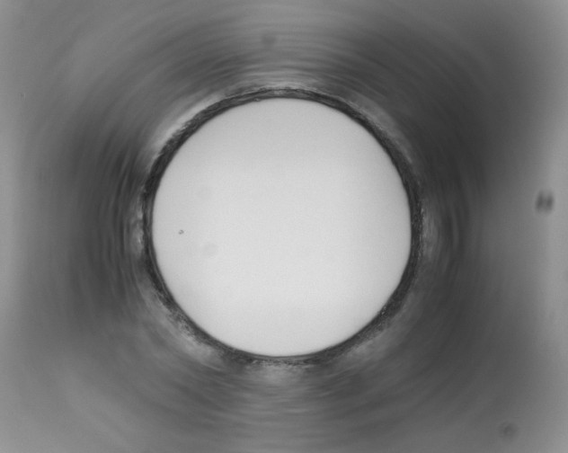 X0000113220782200910221124