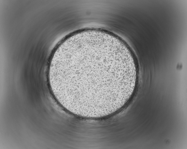 X0000113220783200910221124