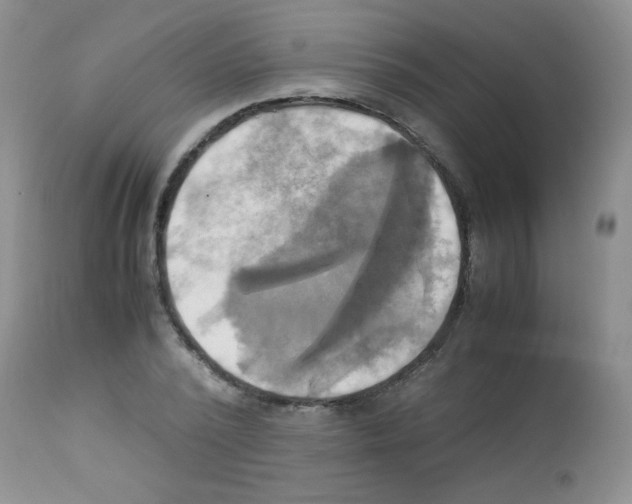 X0000113220784200910221124
