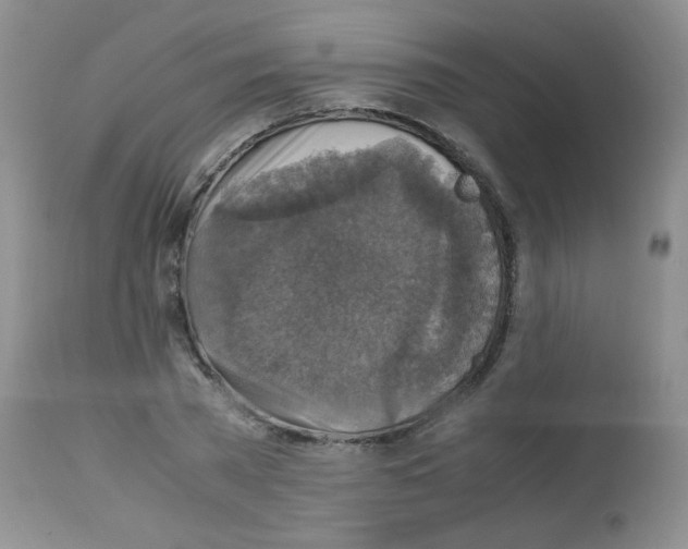 X0000113220785200910221124