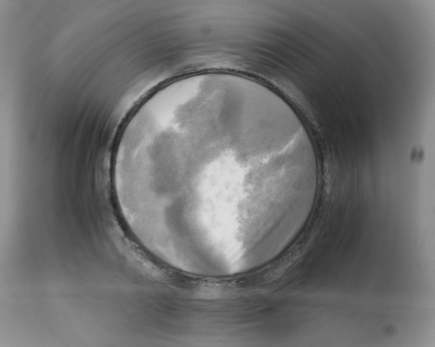 X0000113220790200910221123