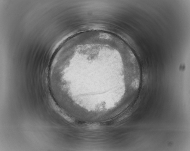 X0000113220798200910221123