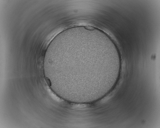 X0000113220801200910221123