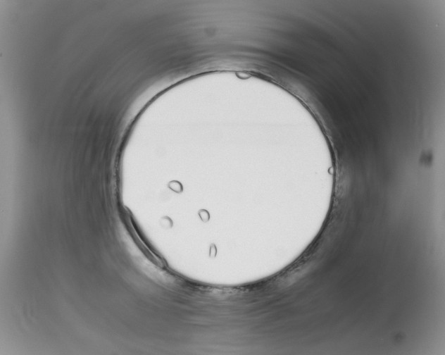 X0000113220803200910221123