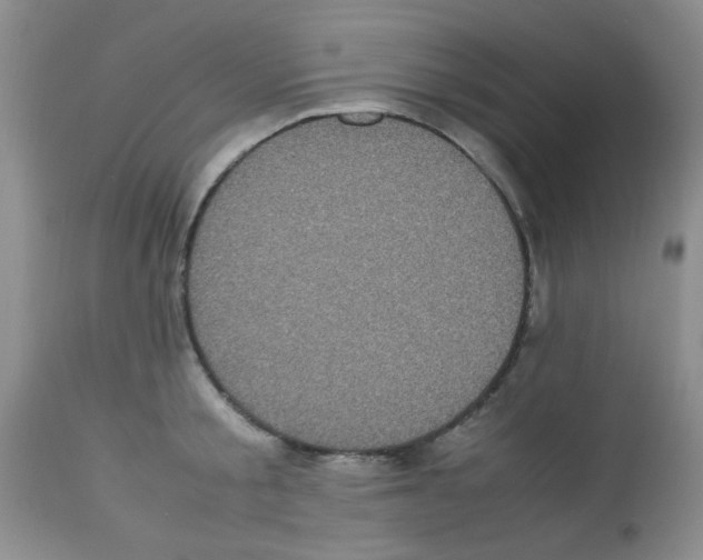 X0000113220805200910221123