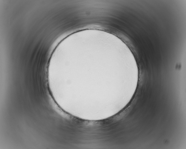X0000113220808200910221123