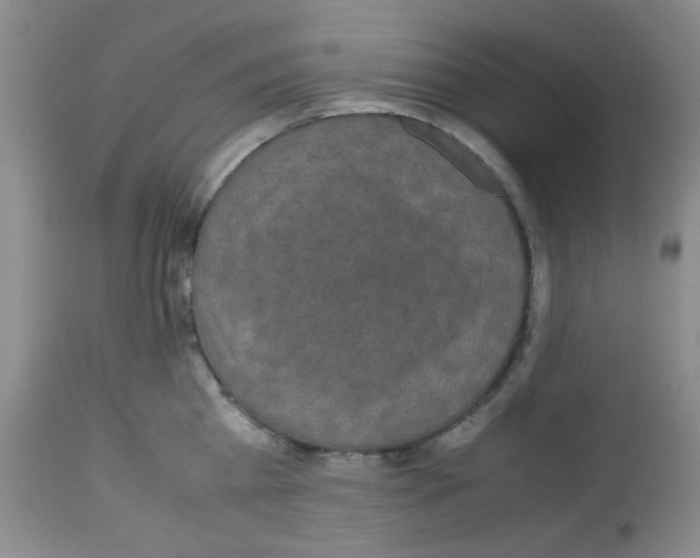X0000113220809200910221123