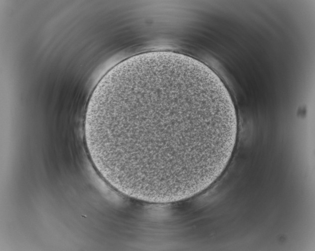 X0000113220810200910221123