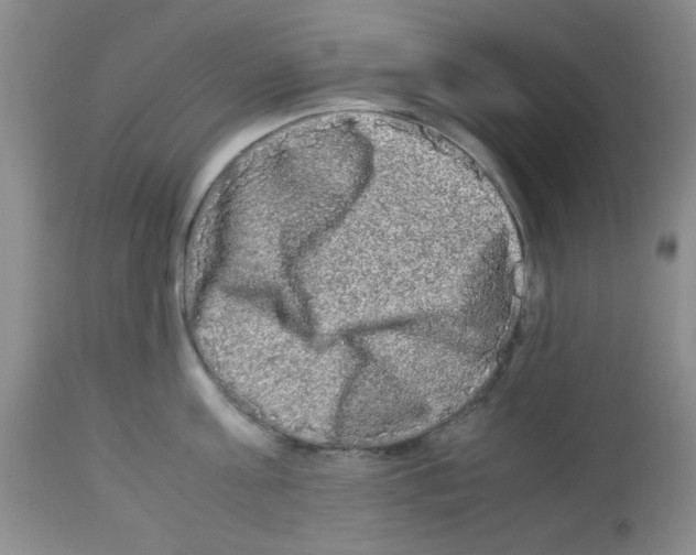 X0000113220811200910221123