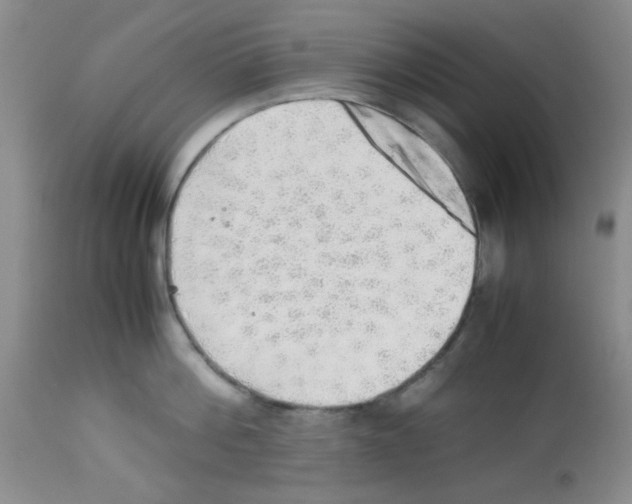 X0000113220812200910221123