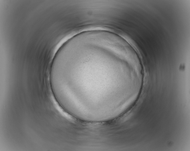 X0000113220813200910221123
