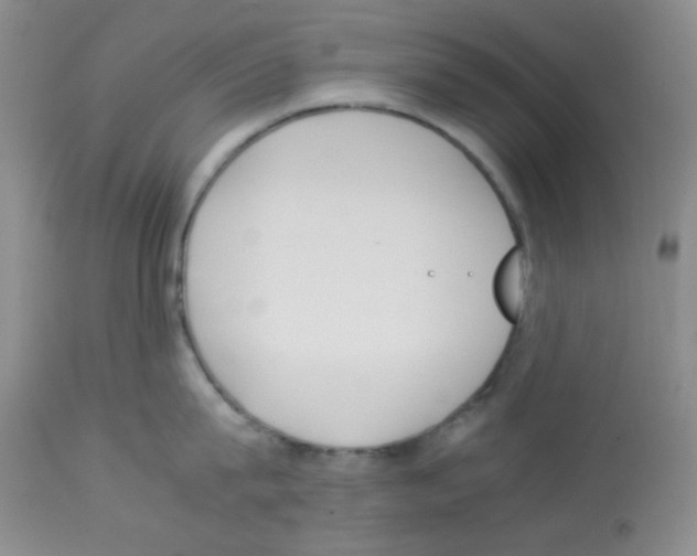 X0000113220815200910221123