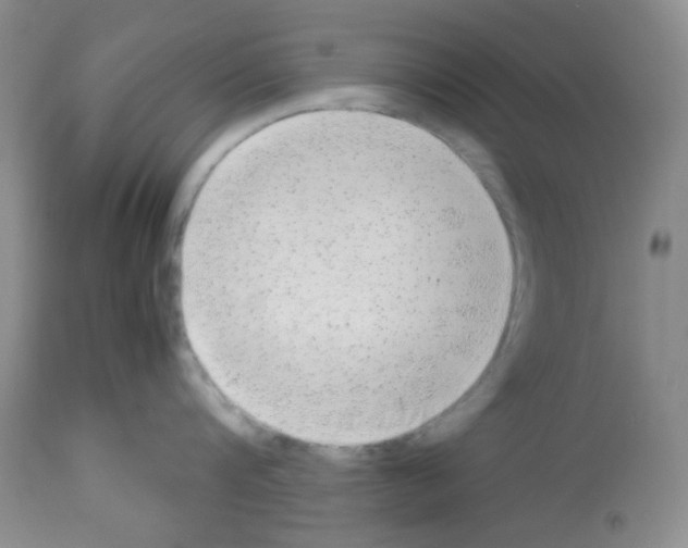 X0000113220816200910221123