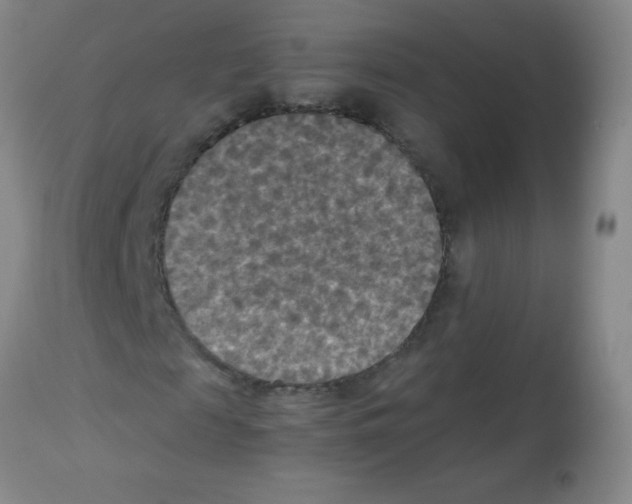 X0000113220817200910221122