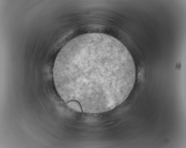 X0000113220819200910221122