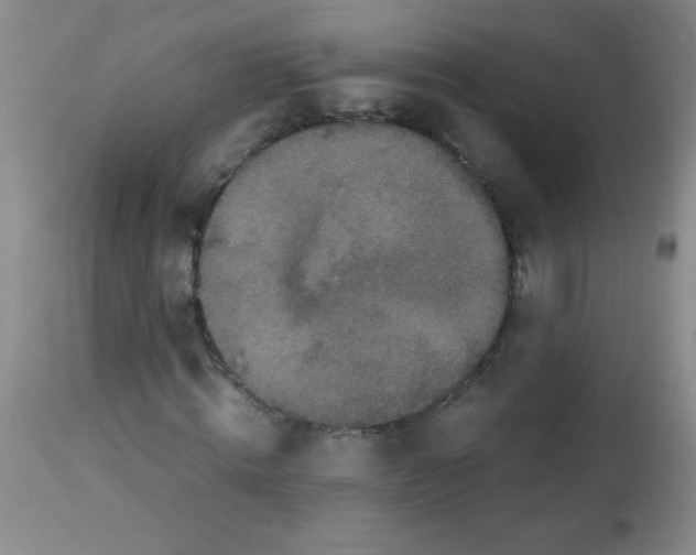 X0000113220820200910221122